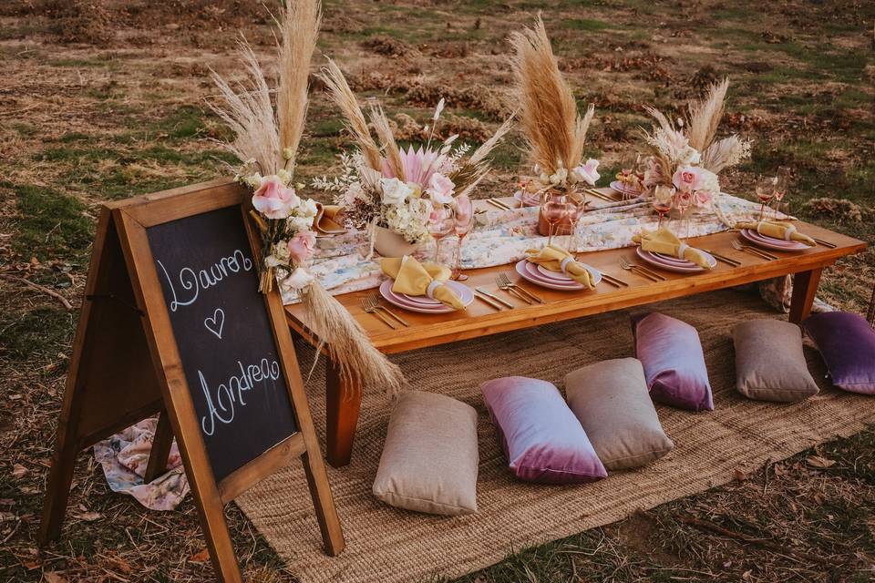 Pink BOHO Picnic in the park