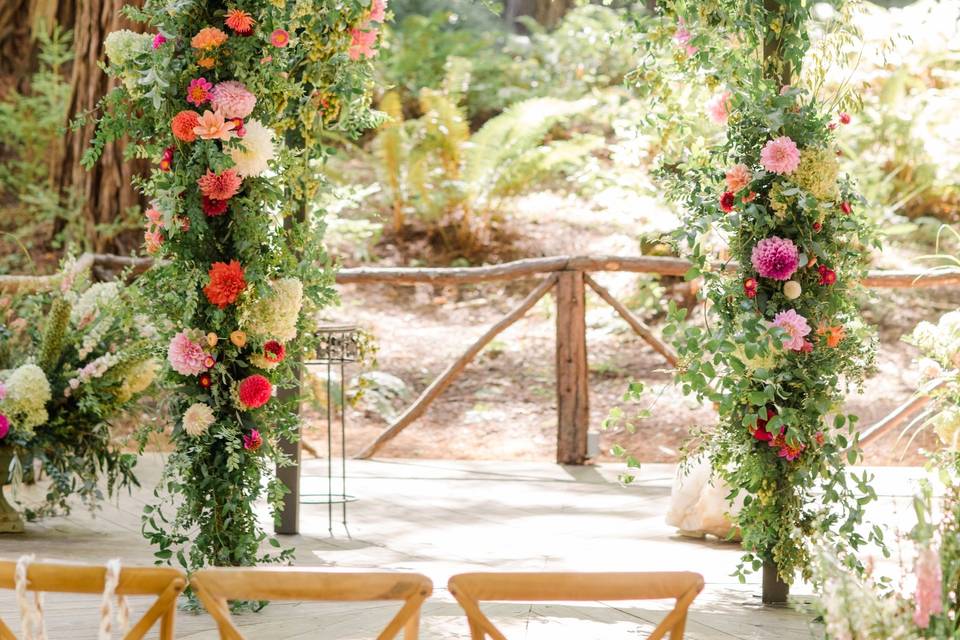 Redwood Wedding ceremony