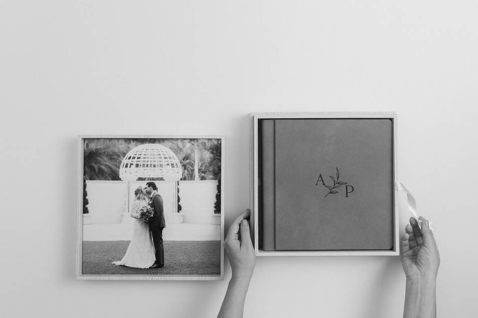 Fine Art Wedding Album