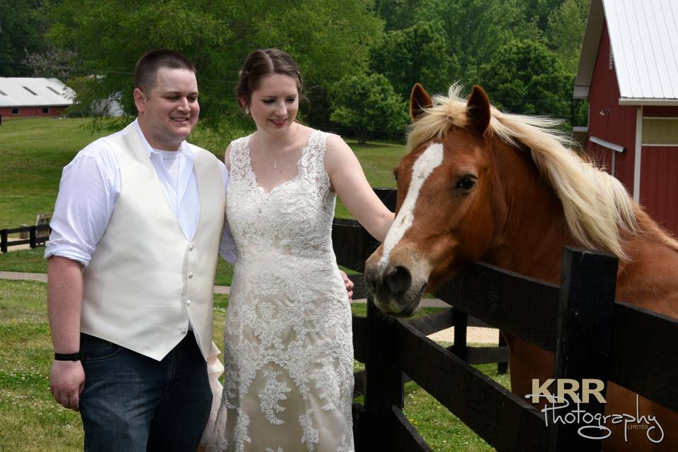 Bride & groom with pony