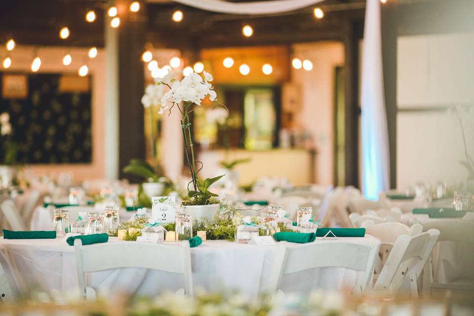 Charming Events Hawaii