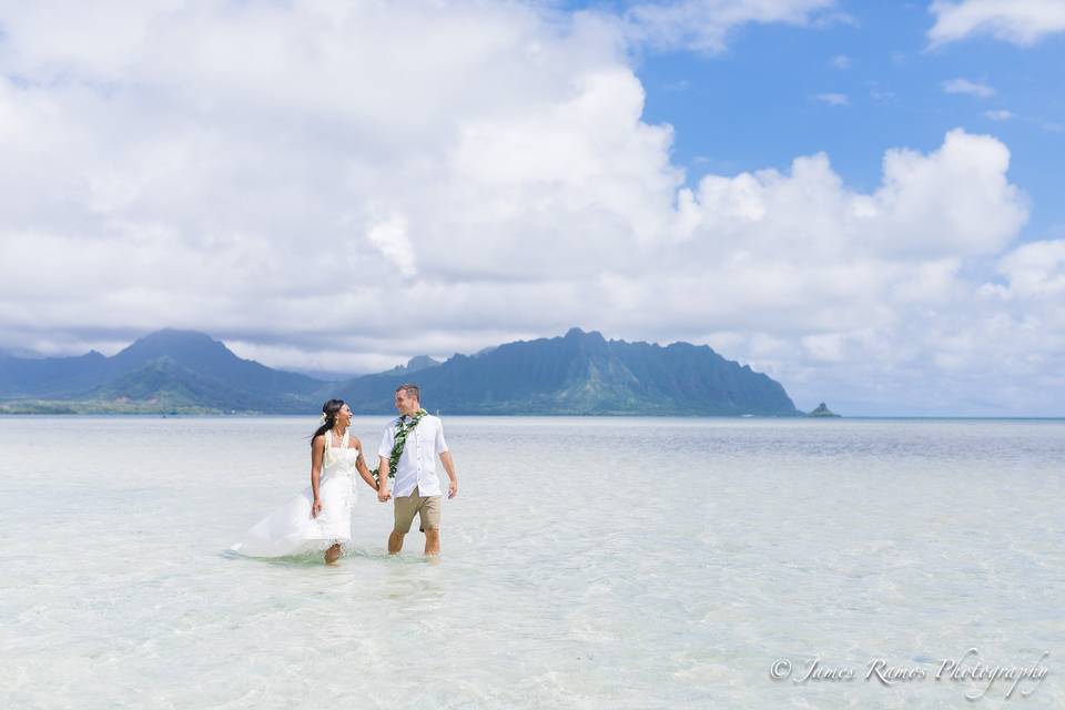 Sandbar Weddings