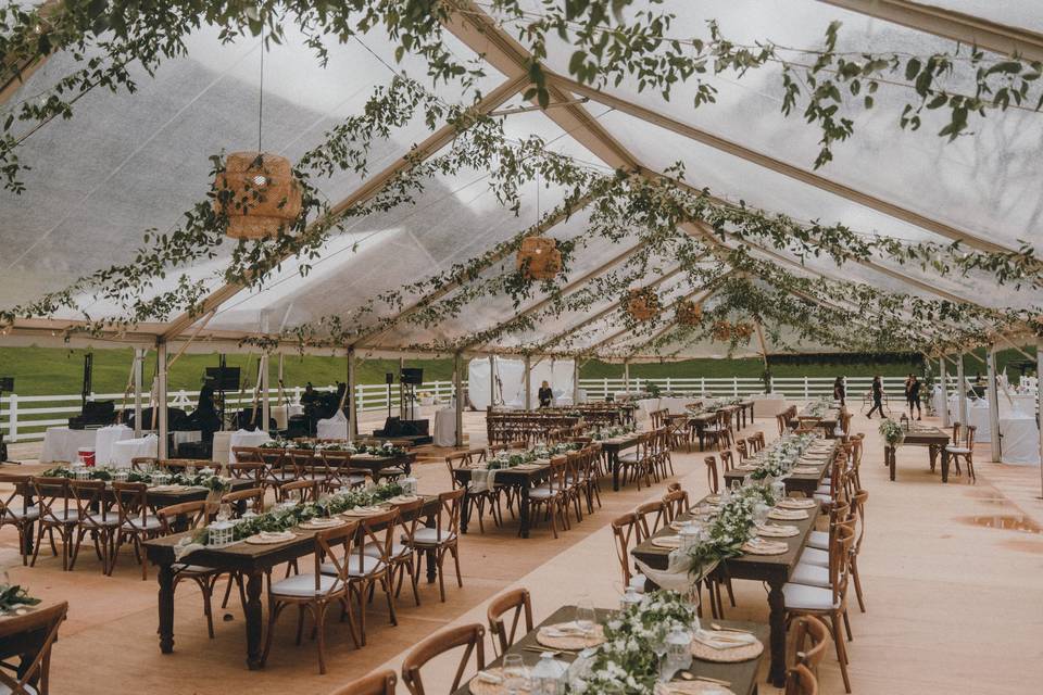 Clear Top Tent Reception