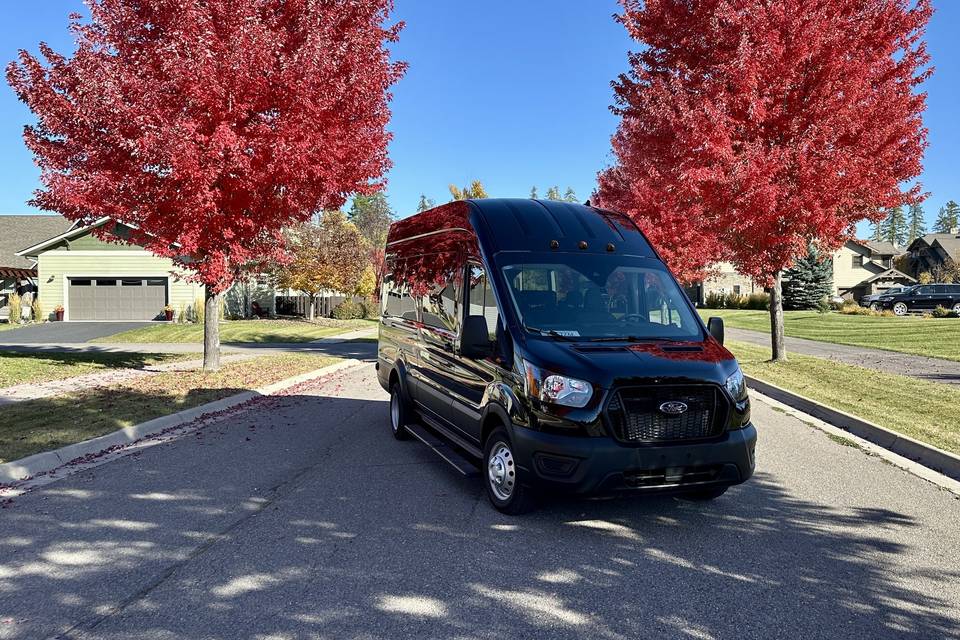Black Transits