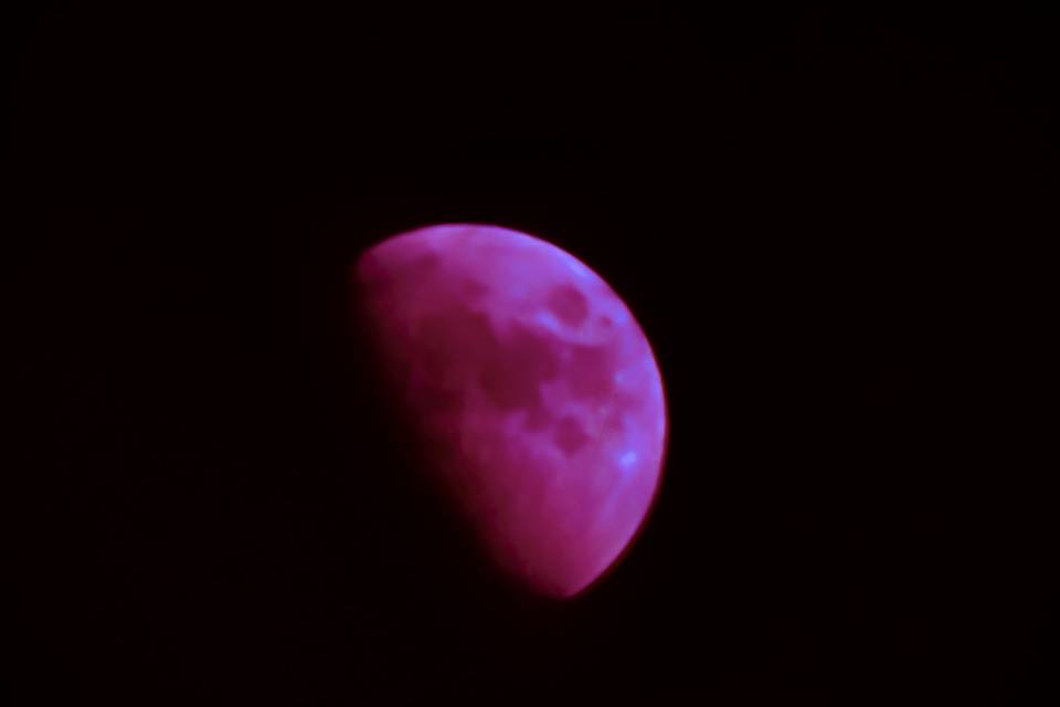 IMG_0256.jpeg