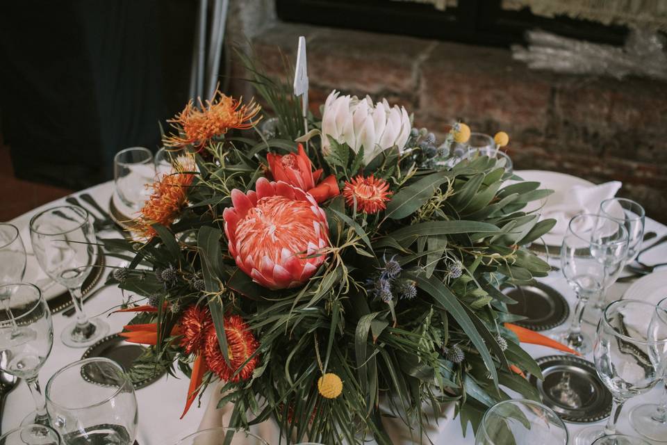 Australian Proteas