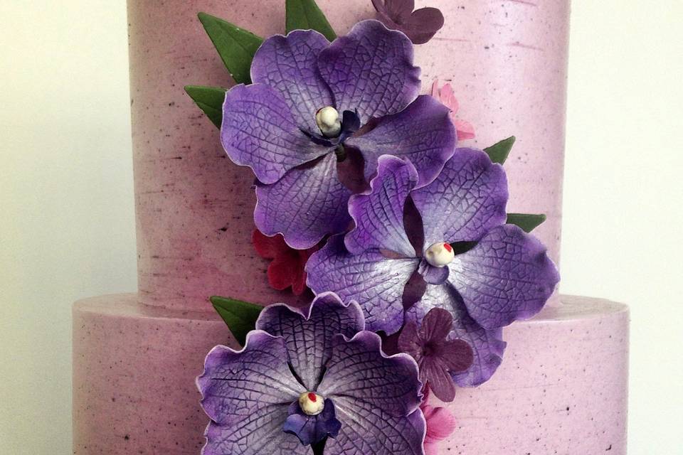 Sugar vanda orchids