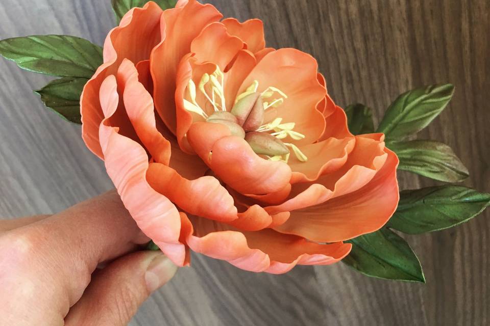 Sugar peony with foliage