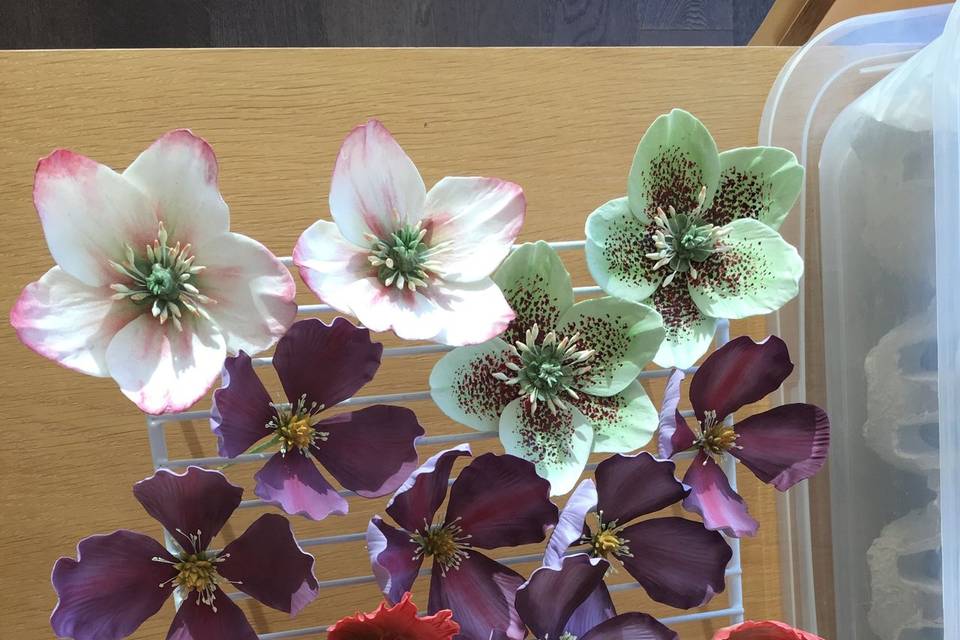 Various sugar flowers -- including hellebore, montana clematis, parrot tulip, and peony