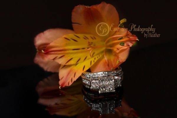 Embrace Photography by Heather