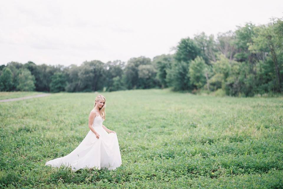 Lush meadows