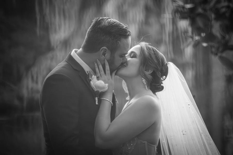 Sealed With a Kiss