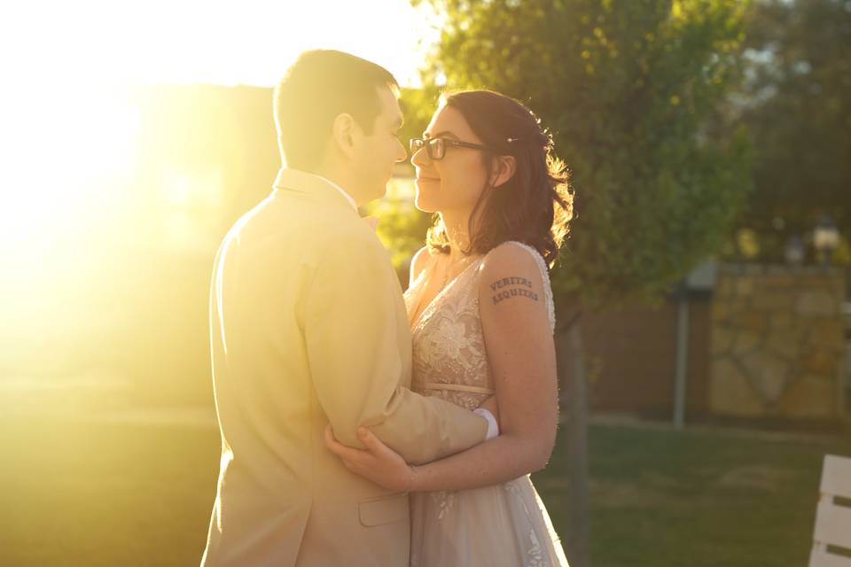 Sunlit Forever