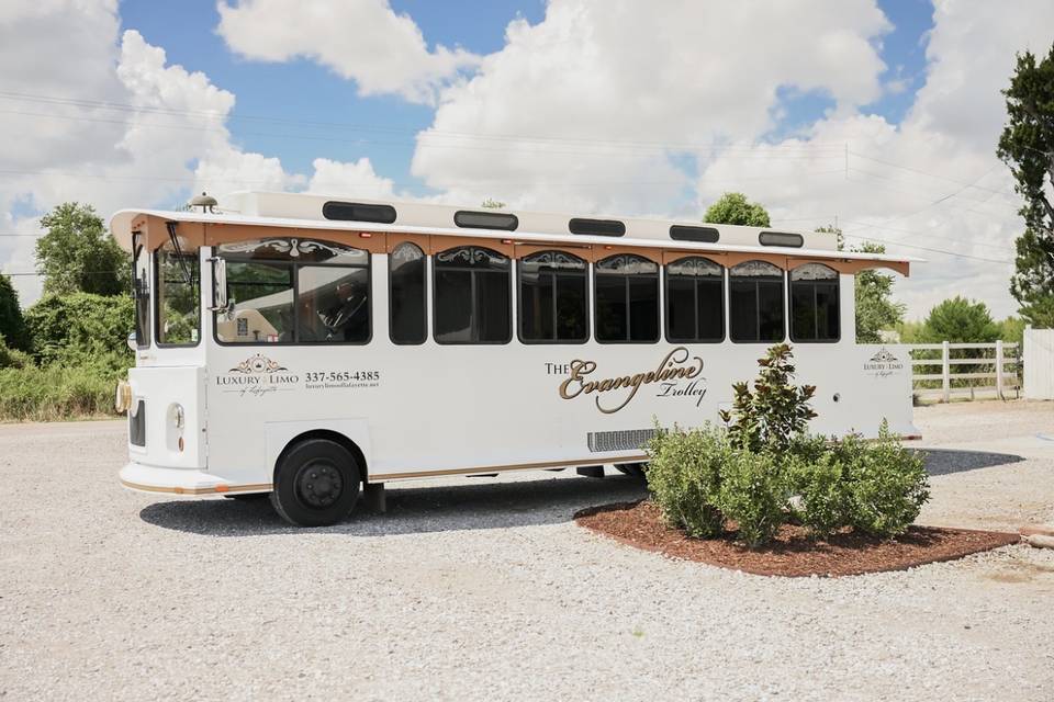 Luxury Limo