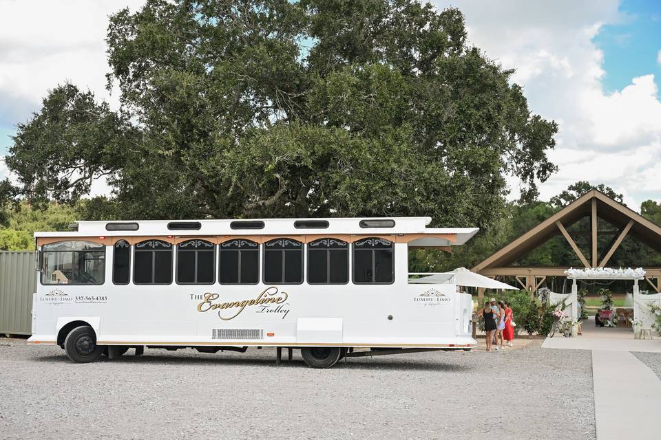 Luxury Limo