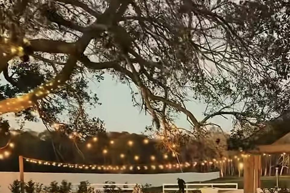Outdoor Bar