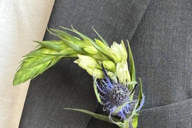 Wild Violet Flower Shop