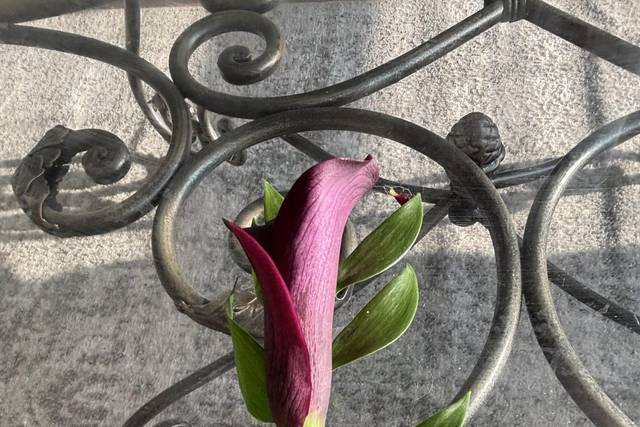 Boutonniere