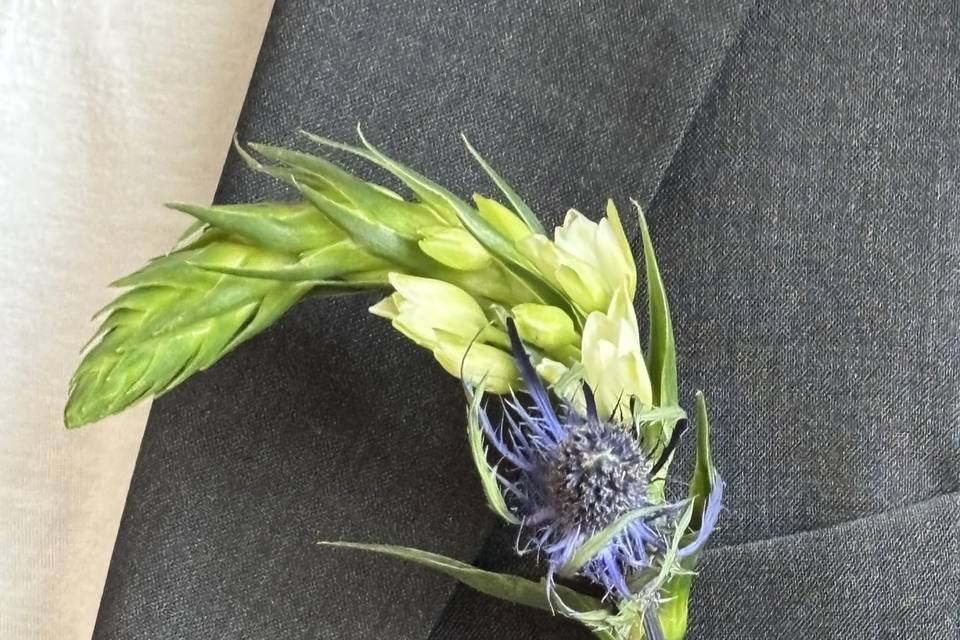 Wild Violet Flower Shop