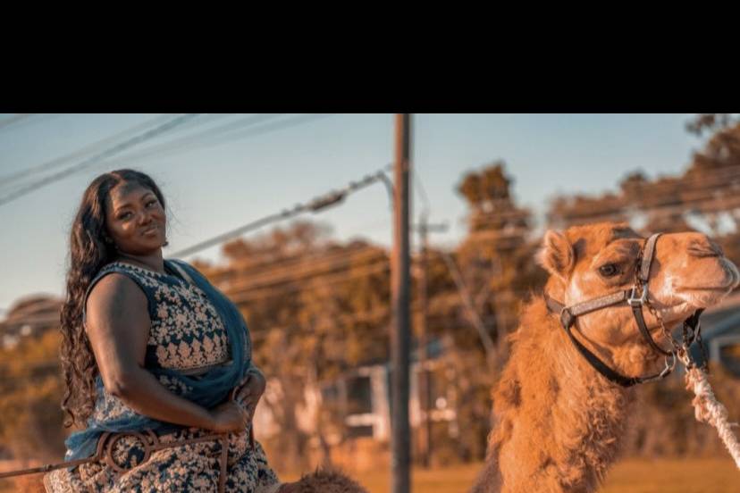 Camel Rental