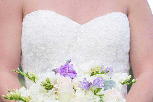 Elizabeth Greenleaf Photography