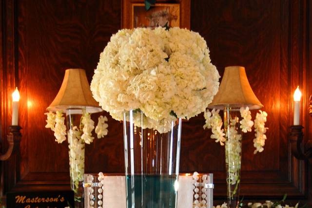 Appetizer display
