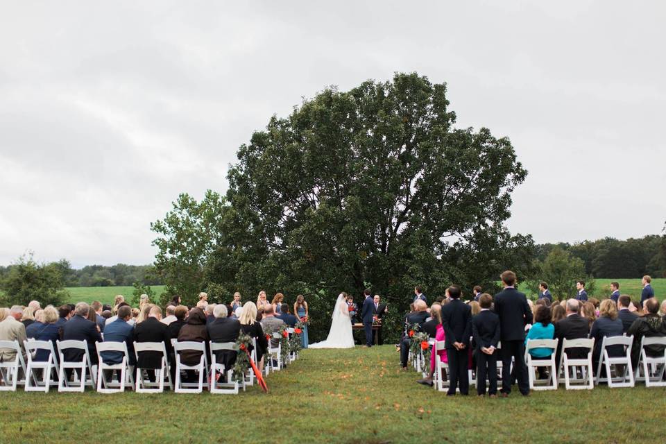 Ceremony on the Meadow Lawn