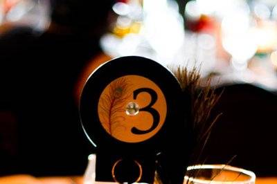 Christine & Dan | Edgewater Hotel
Theme: A Regal Love that is Timeless
Table decor - CD table numbers, feather accented vases with floating candles.