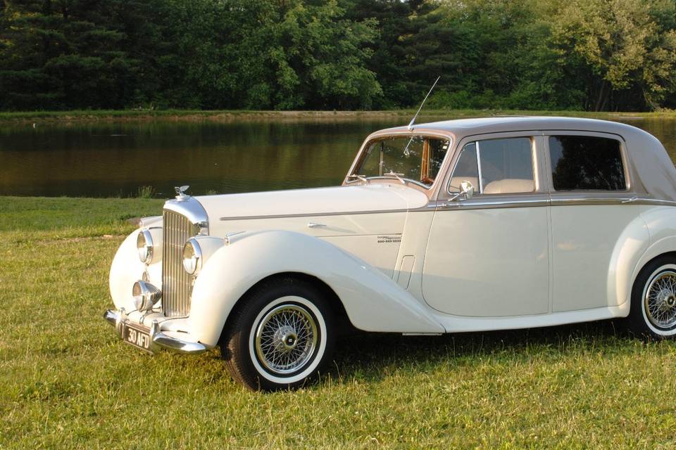 1954 Ivory and Gold Bentley