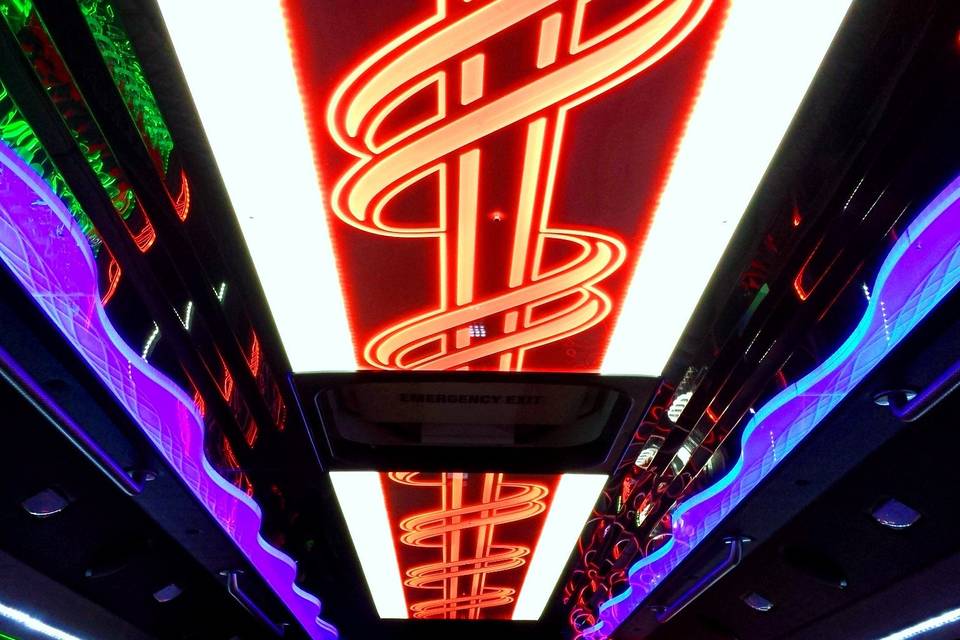 White Party Bus Ceiling