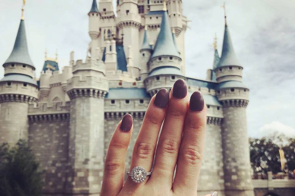 A Disney Engagement