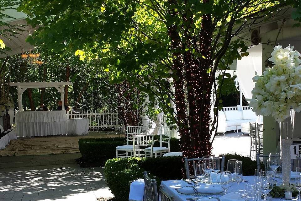 Outdoor reception setup