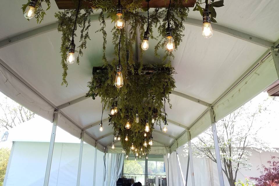 Plant decor and hanging lights