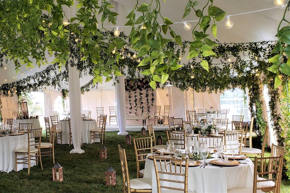 Greenery in a tent