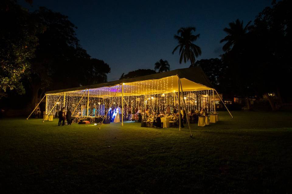 Pavoreal Wedding