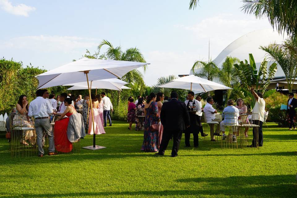Pavoreal Wedding