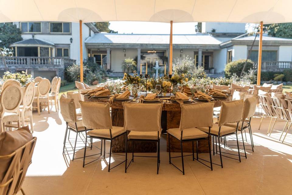 Pavoreal Wedding
