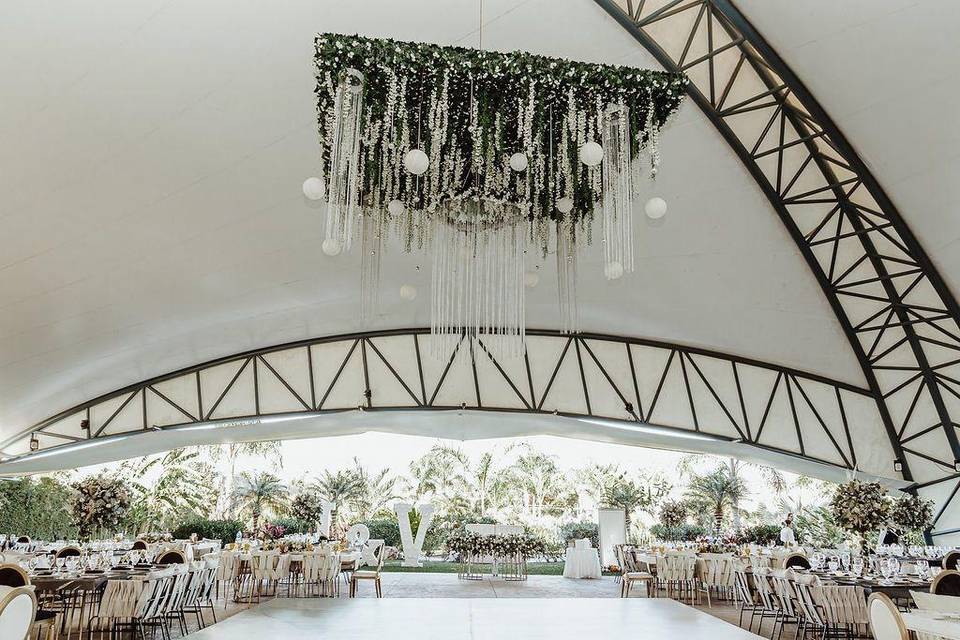 Pavoreal Wedding