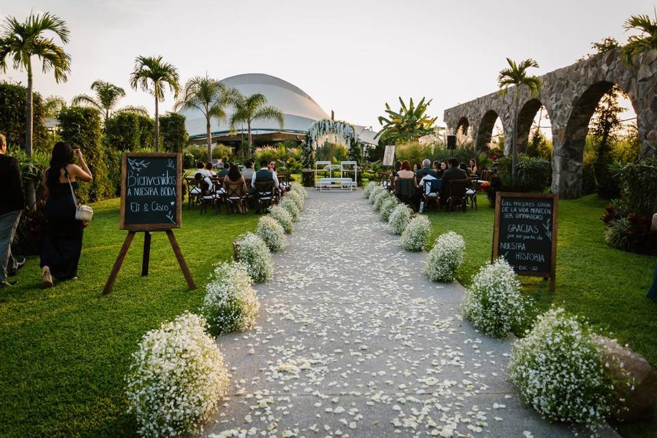 Pavoreal Wedding