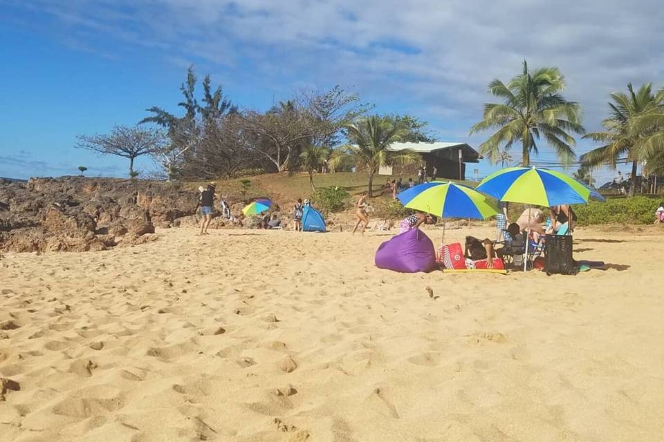 Independent travel agent