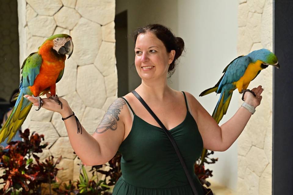 Independent travel agent