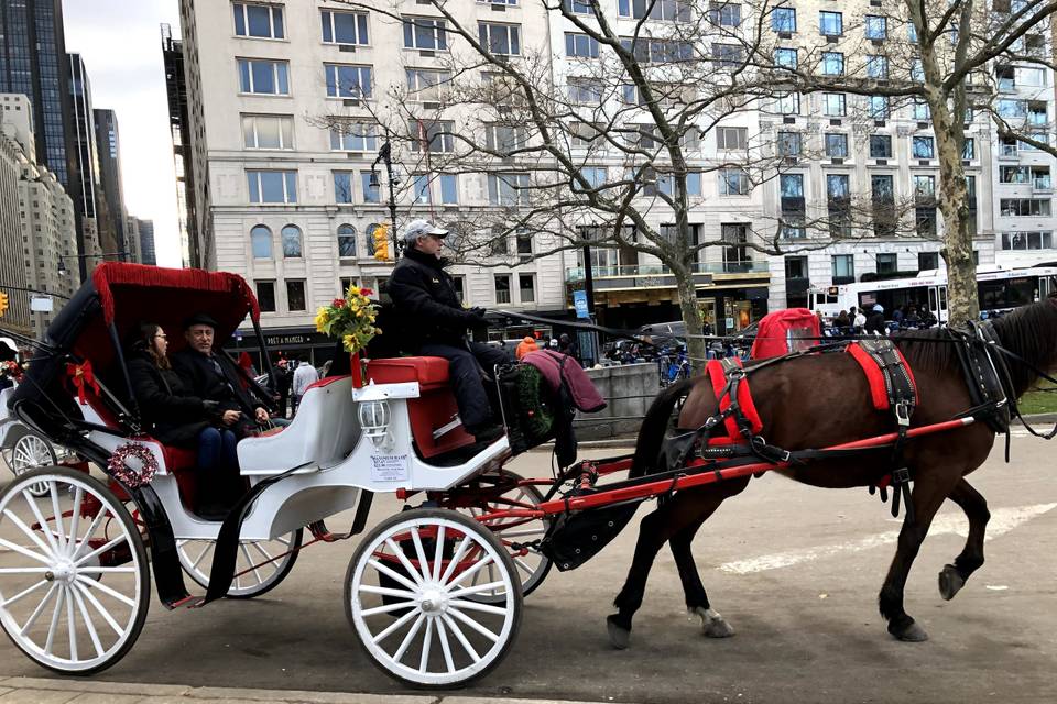 Central Park NYC