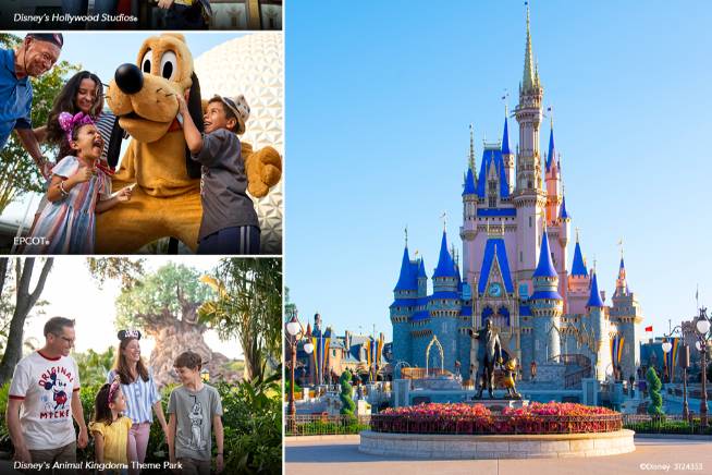 Walt Disney World, FL