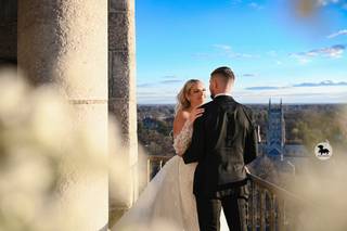 Dackel Photography