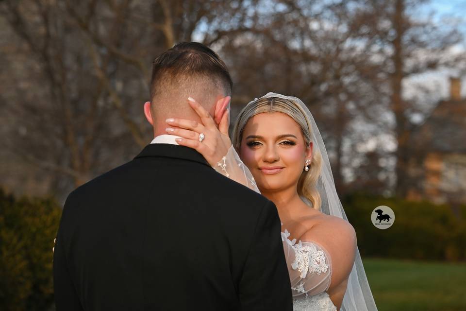 Dackel Photography