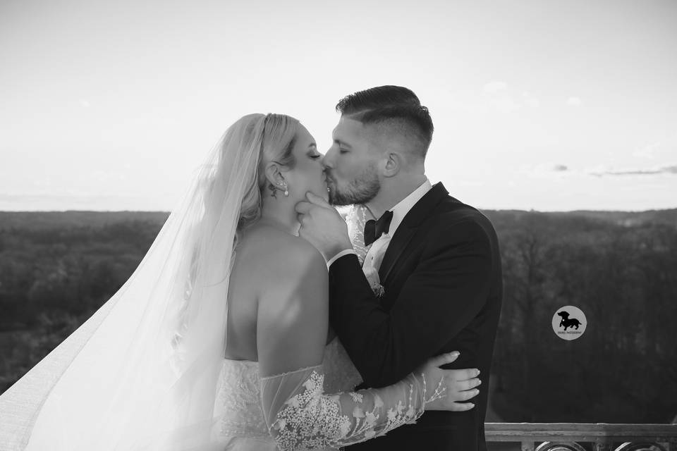 Dackel Photography
