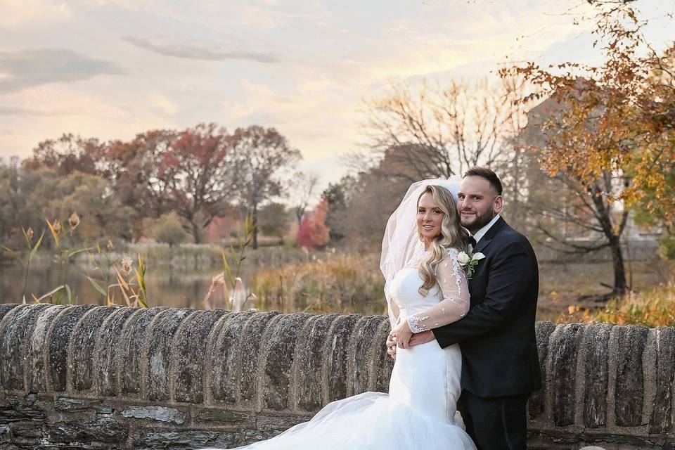 Dackel Photography