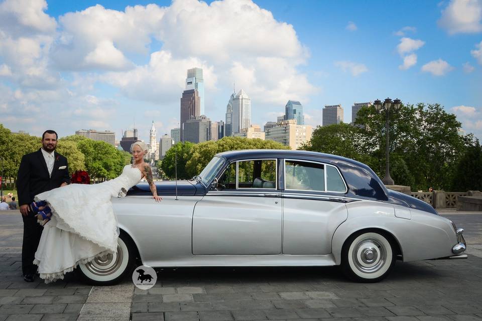 Dackel Photography