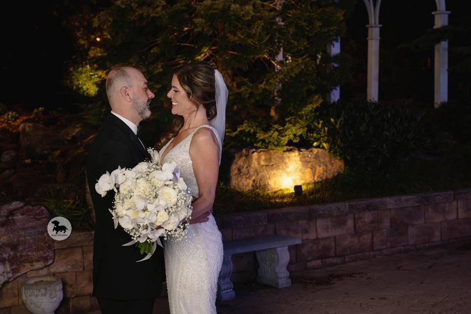 Dackel Photography