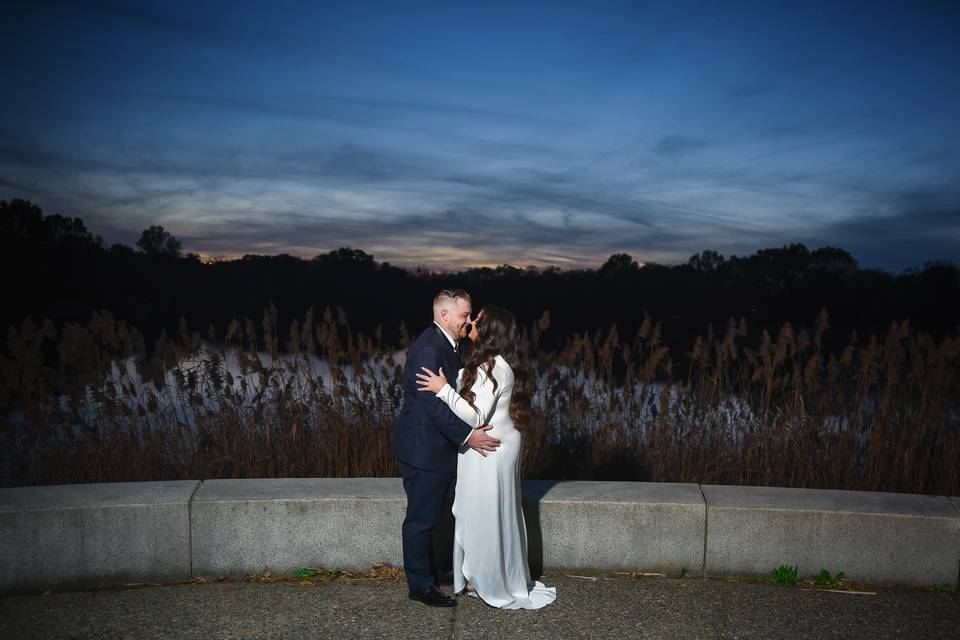 Dackel Photography